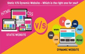 static or dynamic website